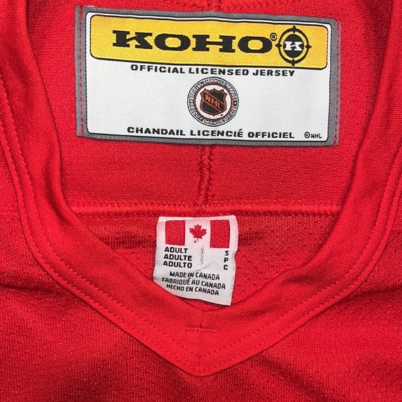 Brett Hull Detroit Red Wings Koho Jersey - Picture 5 of 6